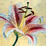 gallery-flowers